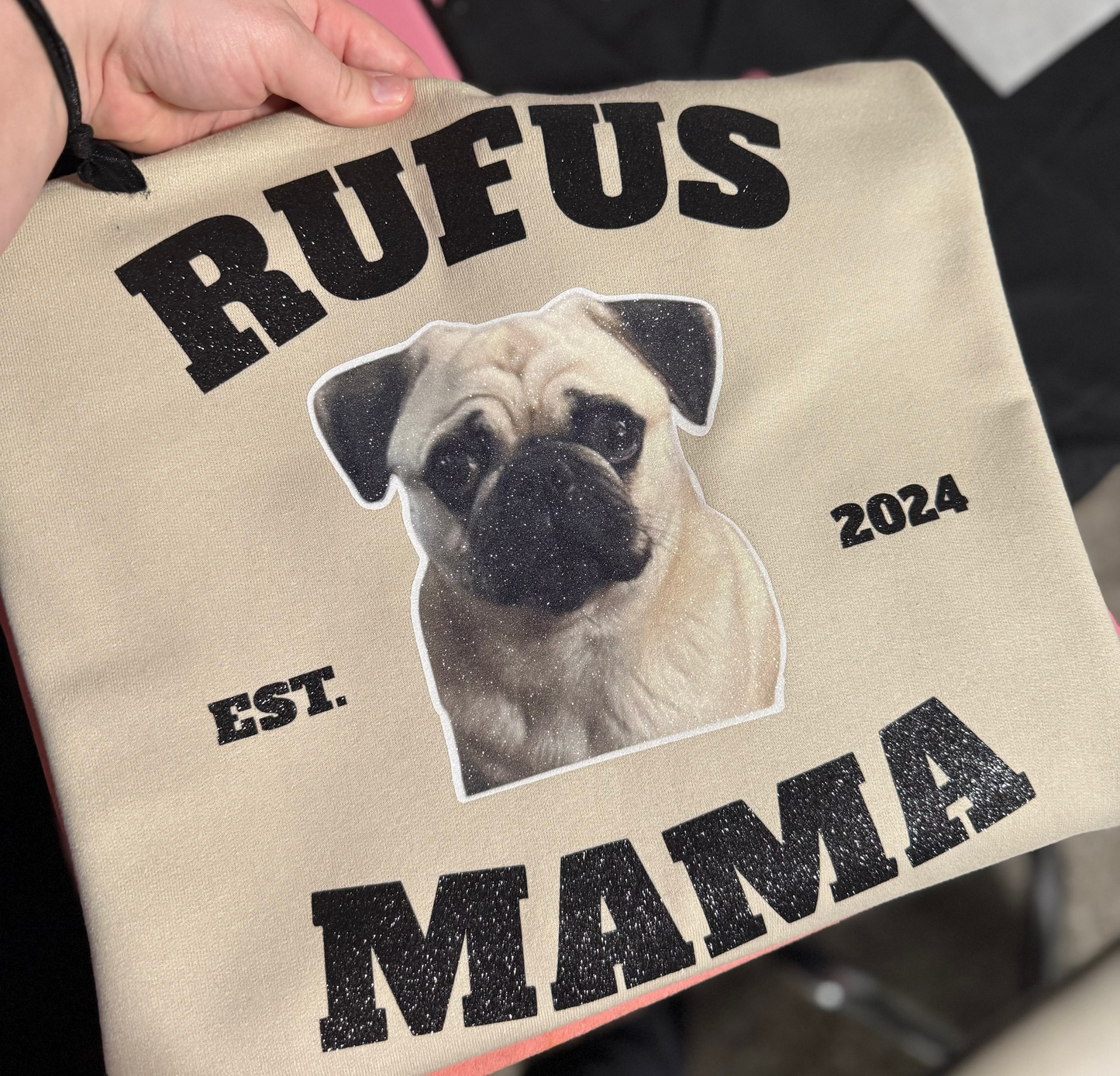 Pet Photo Sweatshirt