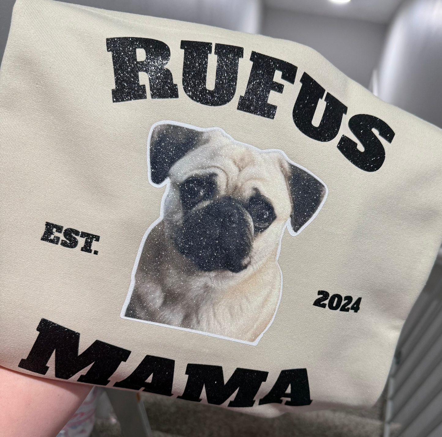 Pet Photo Sweatshirt